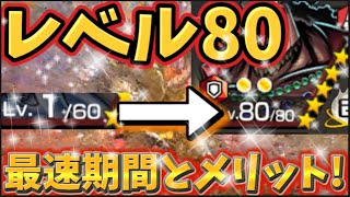 初心者が知らないと損するやつ。レベル上げの重要な知識【バウンティラッシュ】