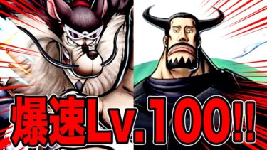 新フェス限ジャブラ＆ブルーノ神引きLv.100したらんかい‼️【バウンティラッシュ】