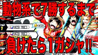 動物系で7勝するまで終われまてん‼️負けたらガシャ‼️【バウンティラッシュ】