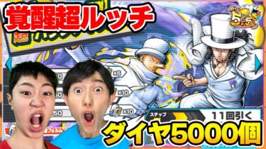 新超フェス覚醒ルッチのガチャをダイヤ5000で神引きなるか！【バウンティラッシュ】