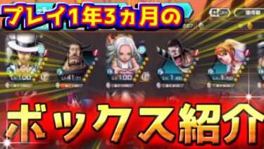 開始1年3ヵ月のボックス紹介【バウンティラッシュ】【bountyrush】【ワンピース】【onepiece】【opbr】