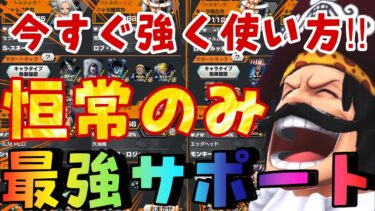 ⭐︎2.3&⭐︎4恒常のみの最強サポート編成‼︎初心者の方は絶対真似してねー！【バウンティラッシュ】