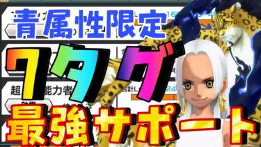 青属性限定‼︎驚愕の7タグサポート‼︎ほぼ誰でも出来るように組んだぞ‼︎【バウンティラッシュ】