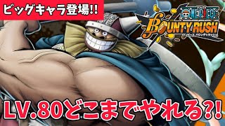 新フェス限ブロギー登場!！80レベルでもかなり堅い【バウンティラッシュ】