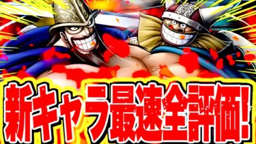 一撃でわかる！！新キャラビッグキャラのドリーとブロギーが環境に刺さりすぎてる!!【バウンティラッシュ】