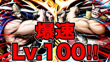 新フェス限ビッグキャラ‼️ドリー＆ブロギーLv.100したらんかい‼️【バウンティラッシュ】