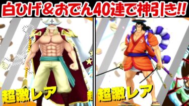 【バウンティラッシュ】超フェスの光月おでん＆白ヒゲ40連で奇跡の大逆転神引き！！超バウンティフェス！！【ONE PIECE】