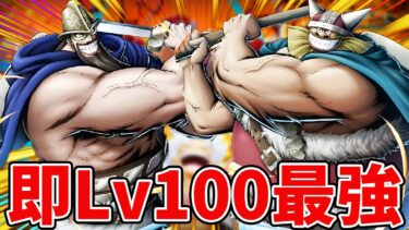 【バウンティラッシュ】ドリー＆ブロギー即Lv100！ぶっ壊れ性能検証！！