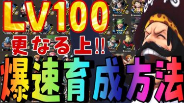 まじでやってほしい‼︎超育成方法‼︎LV100にする最速は？【バウンティラッシュ】