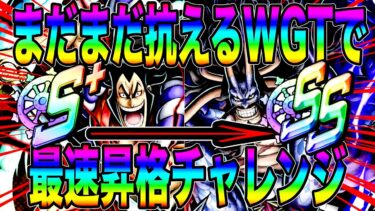 無修正おでん＆無修正鬼カイドウで昇格戦‼️撮影も編集も俺の最速でいったりましたわ【バウンティラッシュ】