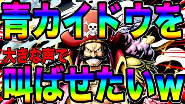 緑ロジャーで青カイドウをしばいて大きな声で叫ばせたいwただそれだけを求めるおふざけ回w【バウンティラッシュ】