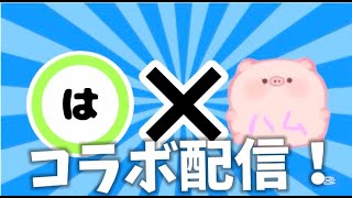 【バウンティラッシュ】ハルくんとコラボレーション！