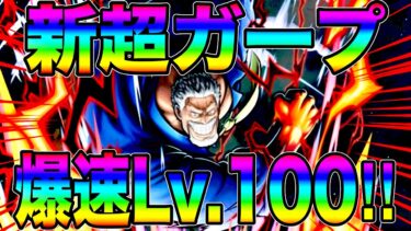 新超フェスガープ爆速Lv.100‼️神引きしたらんかい‼️【バウンティラッシュ】