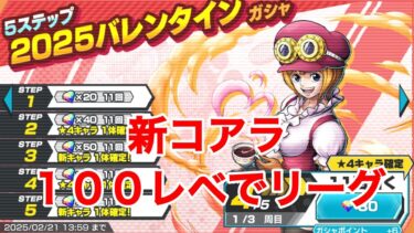 新コアラ100レベでリーグ 【バウンティラッシュ】