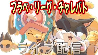 【今日は配信大丈夫だといいな！】今日はずーーーーっとプラベ☆【バウンティラッシュ】