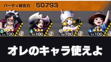 オレの美女パーティ頼むから使ってくれよwww【バウンティラッシュ】