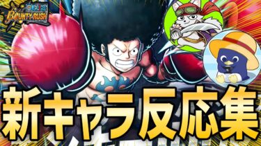 【バウンティラッシュ】人気配信者と新フェスのルフィ登場に大興奮！強いか性能についての感想！