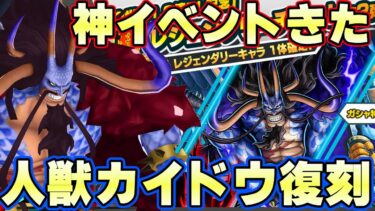 最強サポート超育成できる神イベントきた！人獣カイドウ復刻！【バウンティラッシュ】