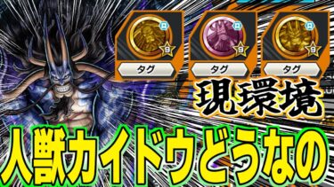 【バウンティラッシュ】今の環境で人獣カイドウってどうなの？