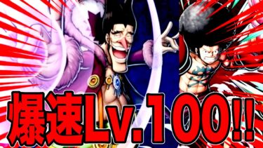新フェス限アフロルフィ＆フォクシー神引きしたらんかい‼️【バウンティラッシュ】