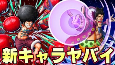 ルフィ誕生日記念キャラがヤバすぎる！まさかのフォクシーアフロルフィ！【バウンティラッシュ】