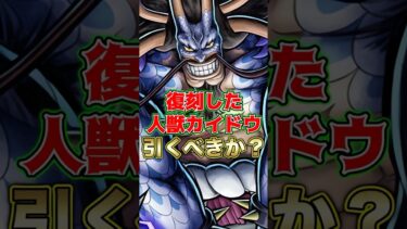 復刻した”人獣カイドウ”引くべきか？ #short #バウンティラッシュ #カイドウ #引くべき #解説 #ONEPIECE