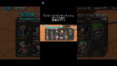 ボックス紹介　ワンピースバウンティラッシュ　