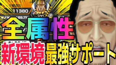新環境の全属性最強サポート編成まとめ‼︎【バウンティラッシュ】