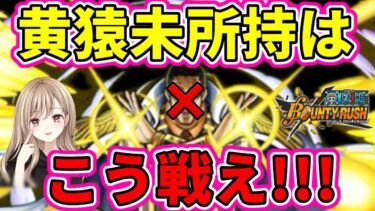 黄猿環境、対策すればいけるやん！【バウンティラッシュ】