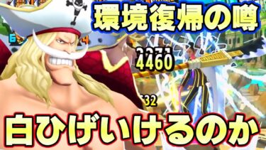 黄猿登場で環境復帰と噂の白ひげを使って無双するぞ！【バウンティラッシュ】