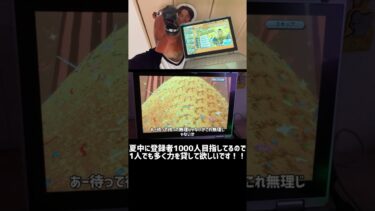 黄猿　ガシャ　超フェス　#バウンティ #バウンティラッシュ #ゲーム実況