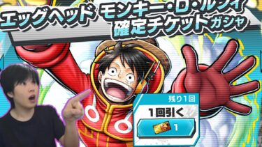 全エッグヘッドキャラ確定無料神ガチャえぐすぎる　バウンティラッシュ