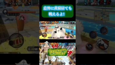 [黄猿登場後]白髭が強い！[バウンティラッシュ]