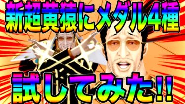 新超フェス黄猿にメダル4種試してみた‼️スキル短縮型か超火力型か…いと選びがたし‼︎【バウンティラッシュ】