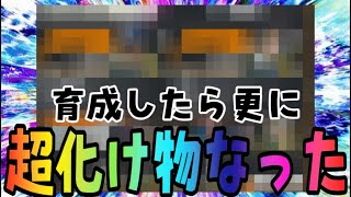 育成したらさらにぶっこわれたｗｗｗ【バウンティラッシュ】
