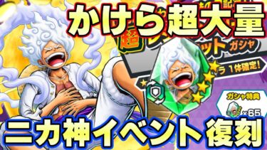 大量かけらでオバブ３！ニカ復刻が神イベントすぎる！【バウンティラッシュ】