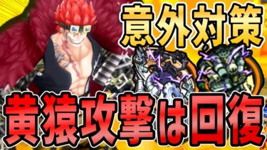 【バウンティラッシュ】黄猿のスキルで回復！まさかの鬼キッドが最強キャラ対策だった！？