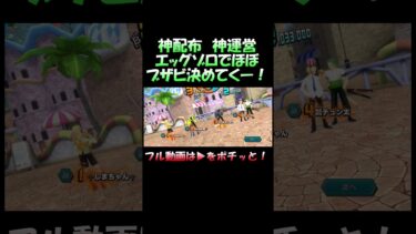 旧リーグランカーが使うエッグゾロは強いはず#shorts #バウンティラッシュ #ワンピース #バウンティ #onepiece #ゲーム実況 #ゾロ