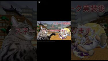 ニカの歴史を猫ミームで解説後編#バウンティラッシュ実況 #ニカ#猫ミーム