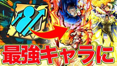 ランダムで出たキャラにチャンスカードを使ったら最強キャラができました【バウンティラッシュ】
