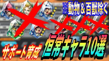【優先度高】サポート育成恒常キャラ10選【バウンティラッシュ】【One Piece Bounty Rush】