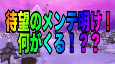 メンテ開けるぞ！なにがかわる？？！【バウンティラッシュ】