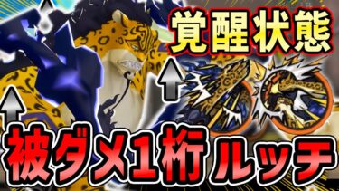 【バウンティラッシュ】最強ルッチ誕生！一桁ダメージの超硬メダルがヤバい！