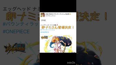 卵ナミ登場決定！PV映像も見よう！#バウンティ#バウンティラッシュ#バウンティ新キャラ#shorts #ナミ