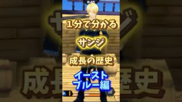 サンジ成長の歴史！イーストブルー編【バウンティラッシュ】
