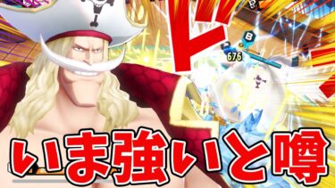 【バウンティラッシュ】白ひげが強いらしい！振動刺さってます！