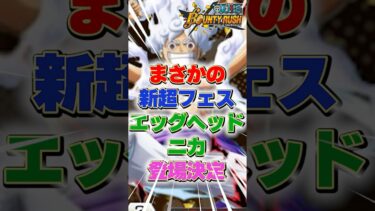 【解説】新超フェスエッグヘッドニカ登場決定か！？#バウンティラッシュ #バウンティ #ニカ #新超フェス